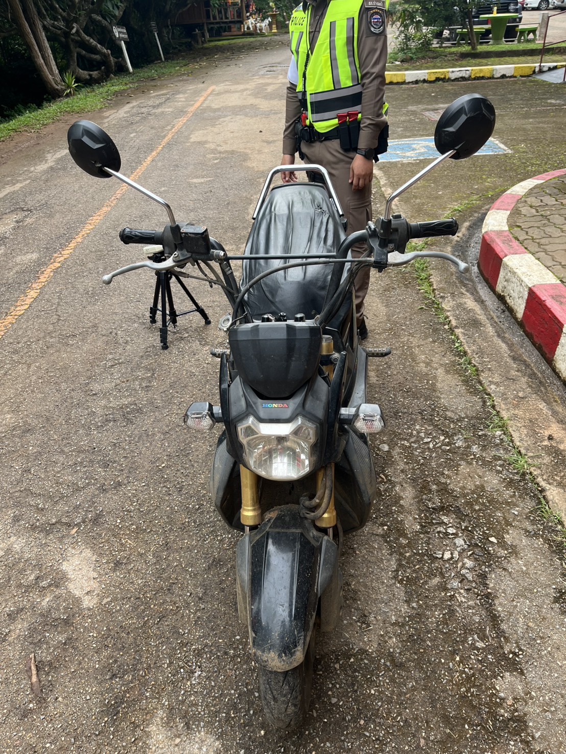 S__451067909_0